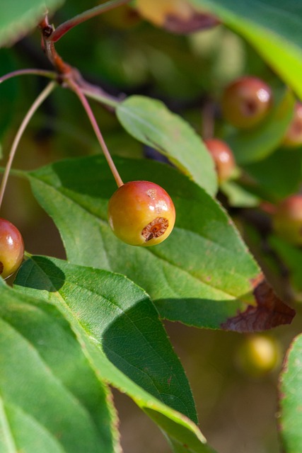 在开营初期 在开营初期
