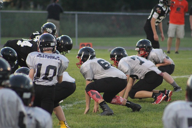 的足球智商 的足球智商