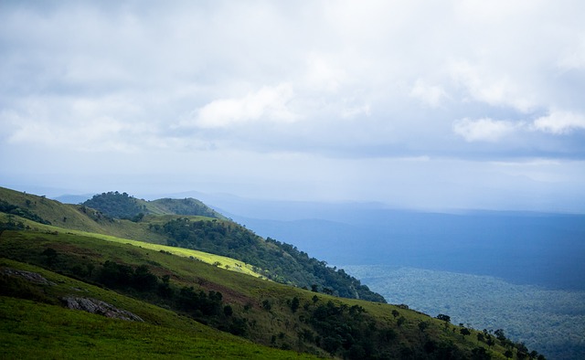 让他们有机 让他们有机