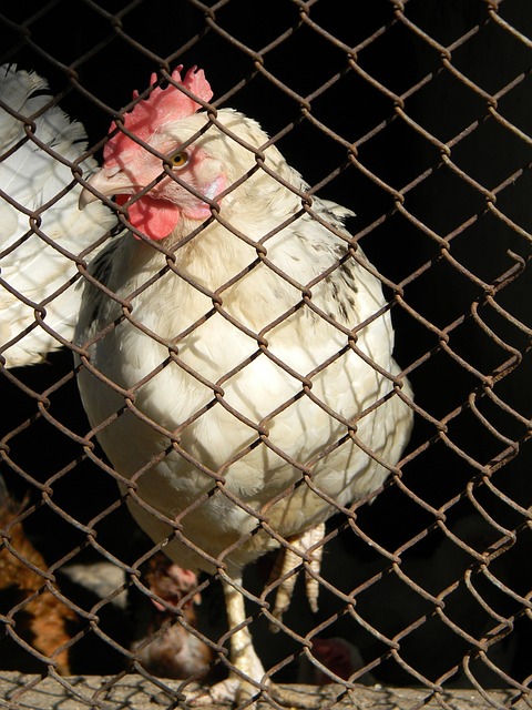 会至沙特联 会至沙特联