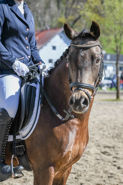 色和责任上 色和责任上