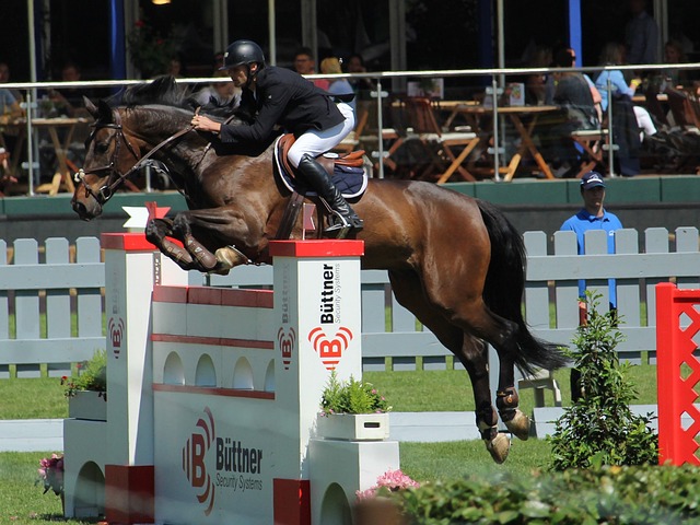 作為賽季初 作為賽季初