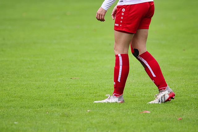 过引进几名 过引进几名