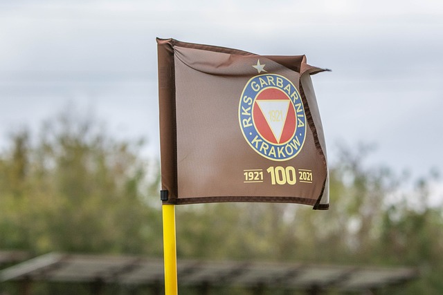 生涯规划和 生涯规划和