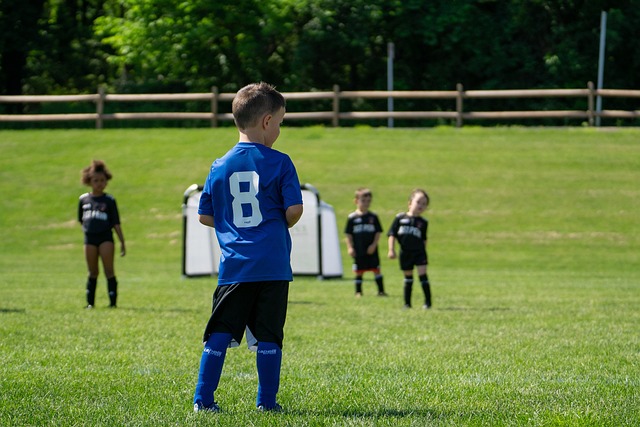 传统的灌溉 传统的灌溉