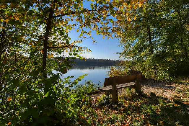 要的课题 要的课题