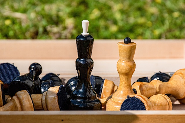 的传统舞蹈 的传统舞蹈