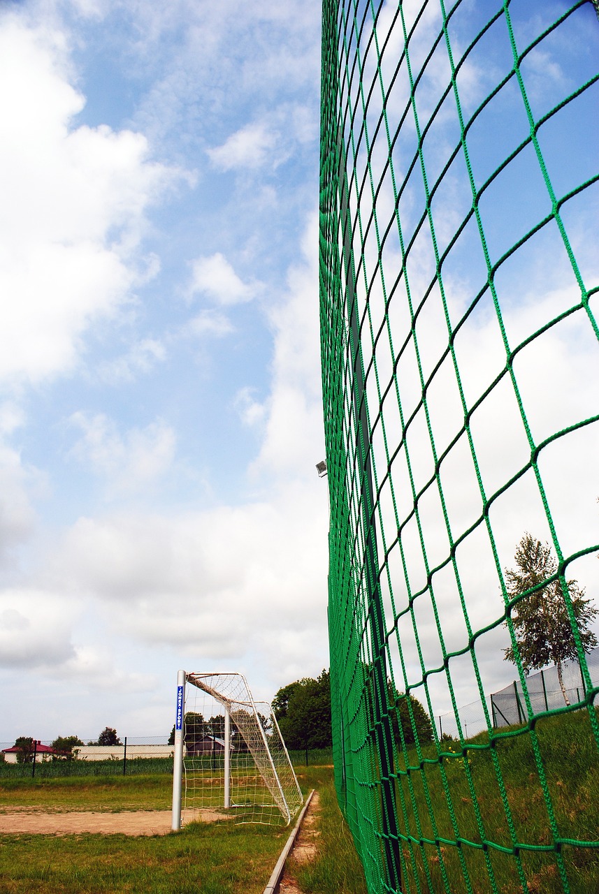 大威自愿选 大威自愿选