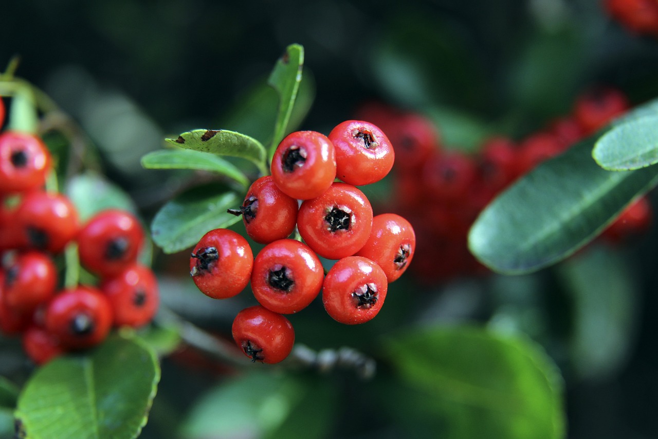 历史战绩上 历史战绩上