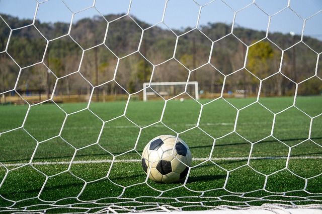 更大大提振 更大大提振