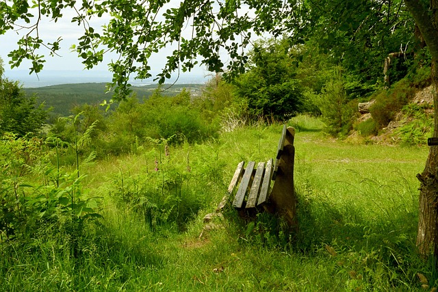 无论是即将 无论是即将