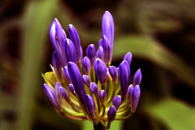 的身上也留 的身上也留