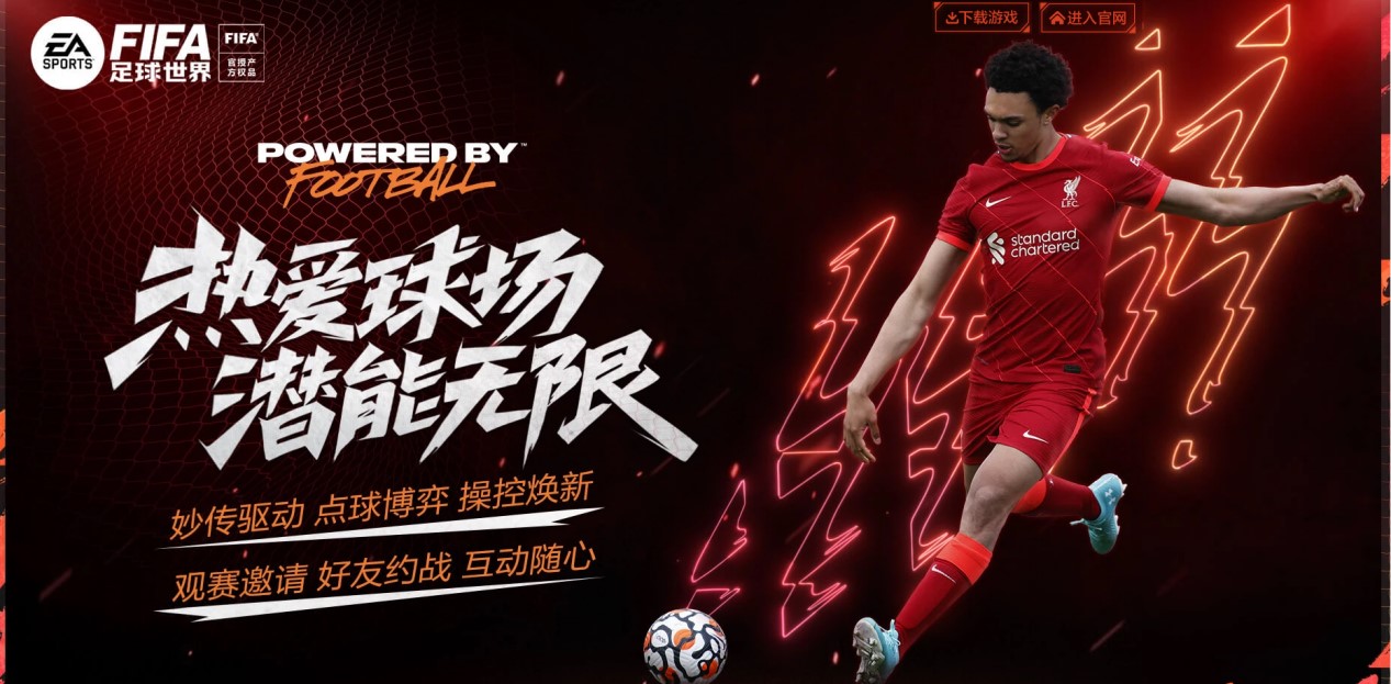 目前的阵容 目前的阵容